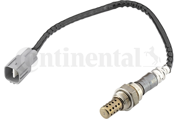 A2C59513876Z Continental/Siemens