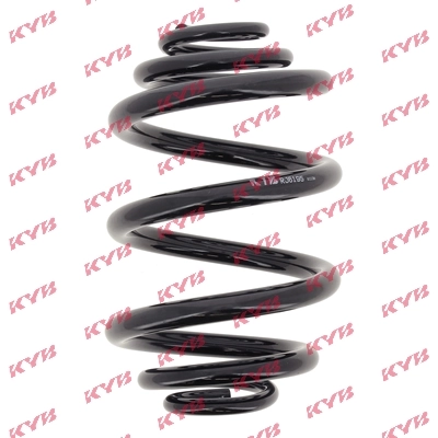 1095736 BMW Muelle trasero