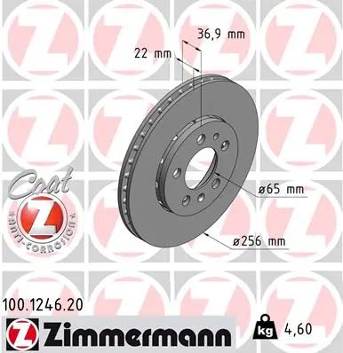 100124620 Zimmermann