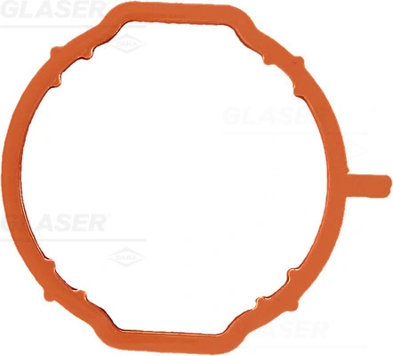 X5947701 Glaser