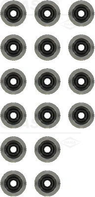 N9298600 Glaser