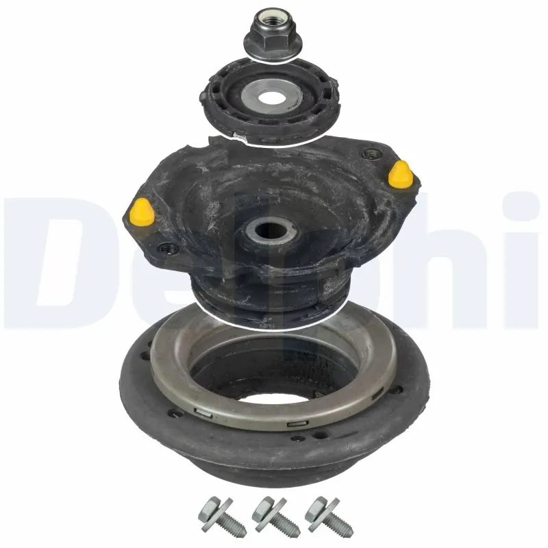 BSJ10098 Delphi