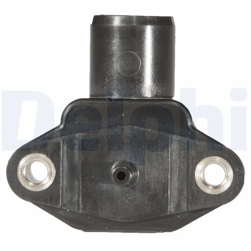 PS1002812B1 Delphi