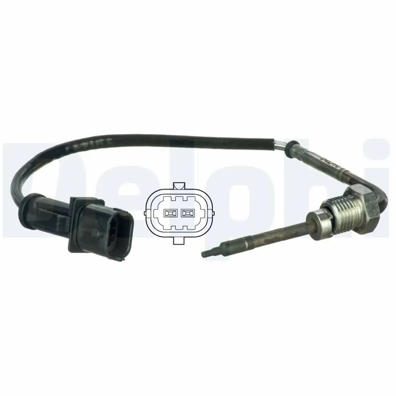TS30011 Delphi