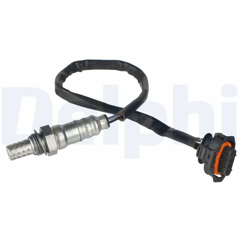 ES2028312B1 Delphi