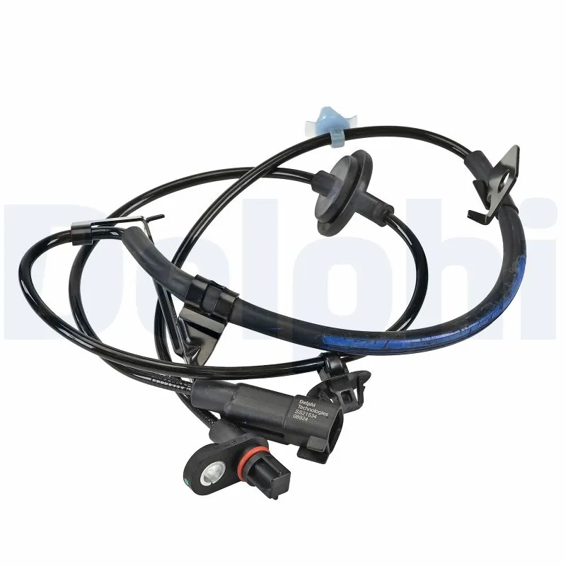 SS2153412B1 Delphi