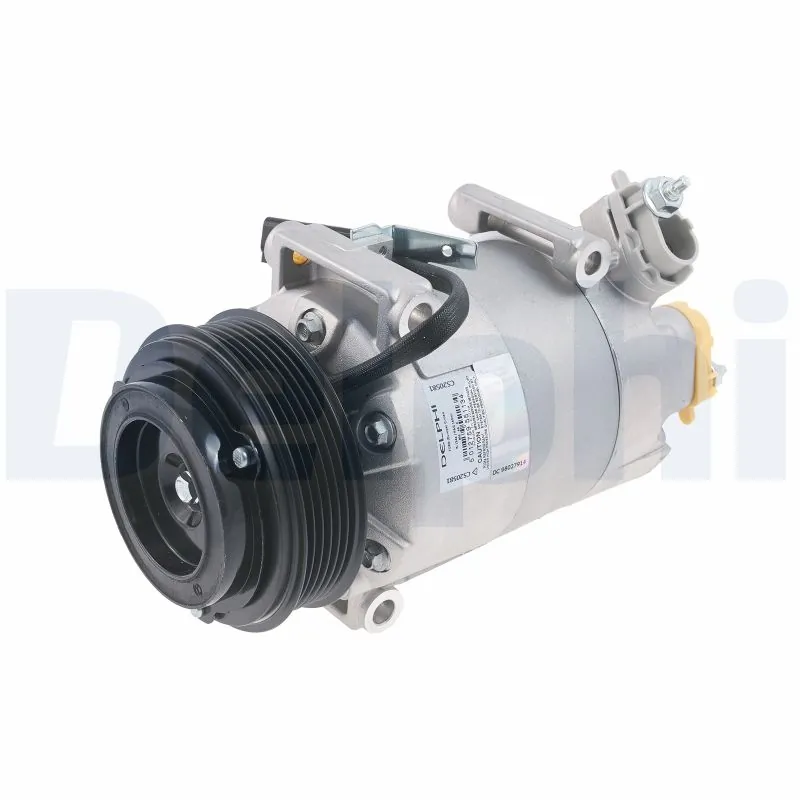 CS20581 Delphi