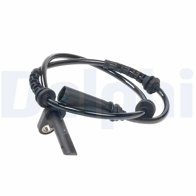 SS2117012B1 Delphi