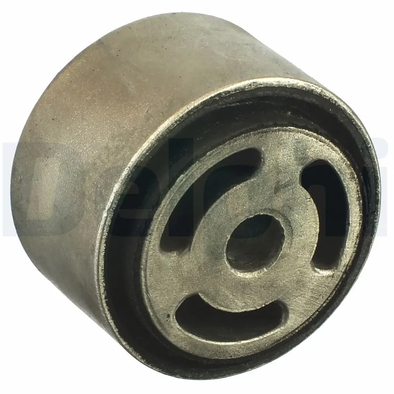 TD1010W Delphi