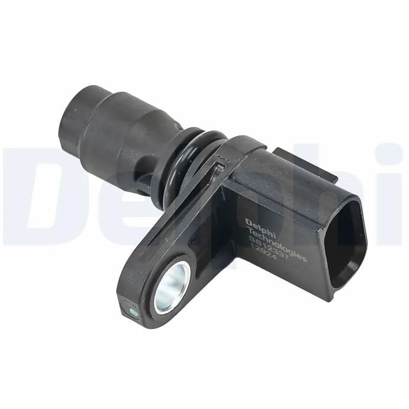 SS1233712B1 Delphi