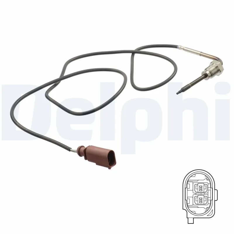 TS30159 Delphi