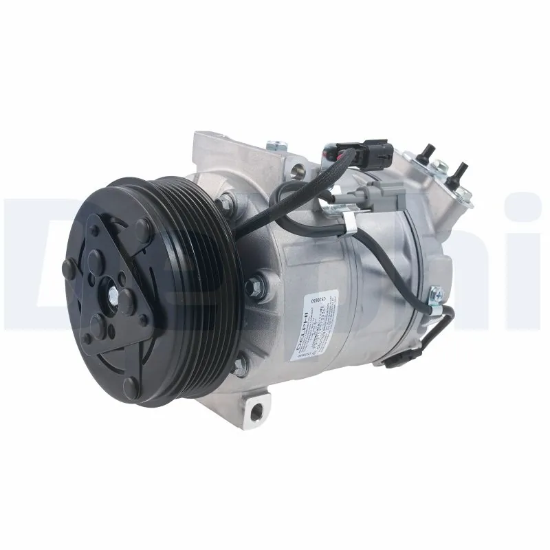 CS20650 Delphi