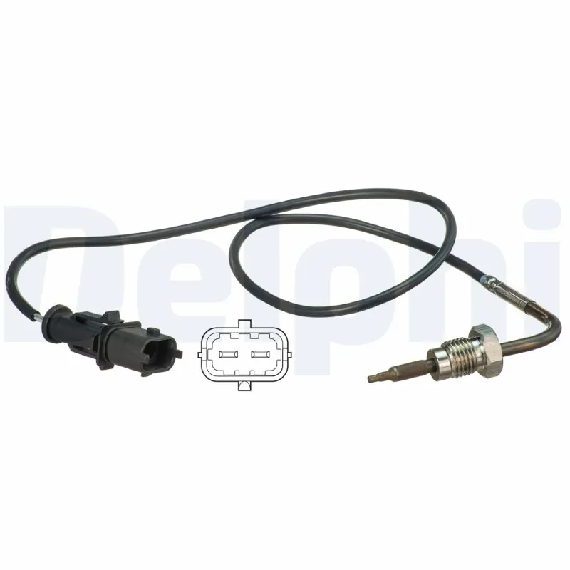 TS30109 Delphi