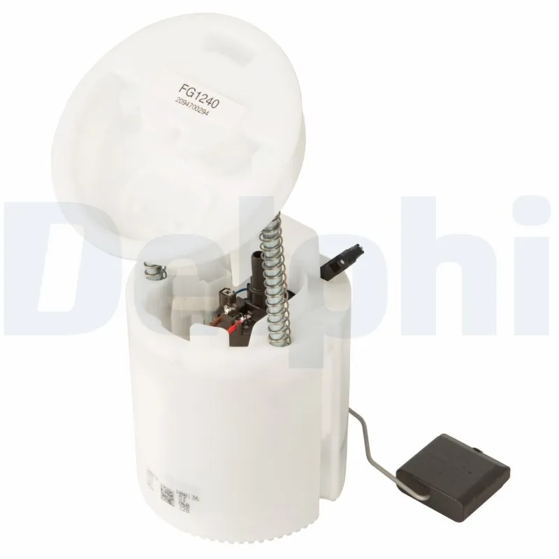 FG124012B1 Delphi