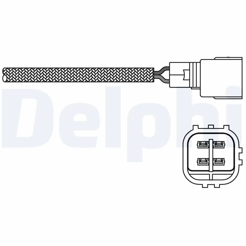 ES2026812B1 Delphi