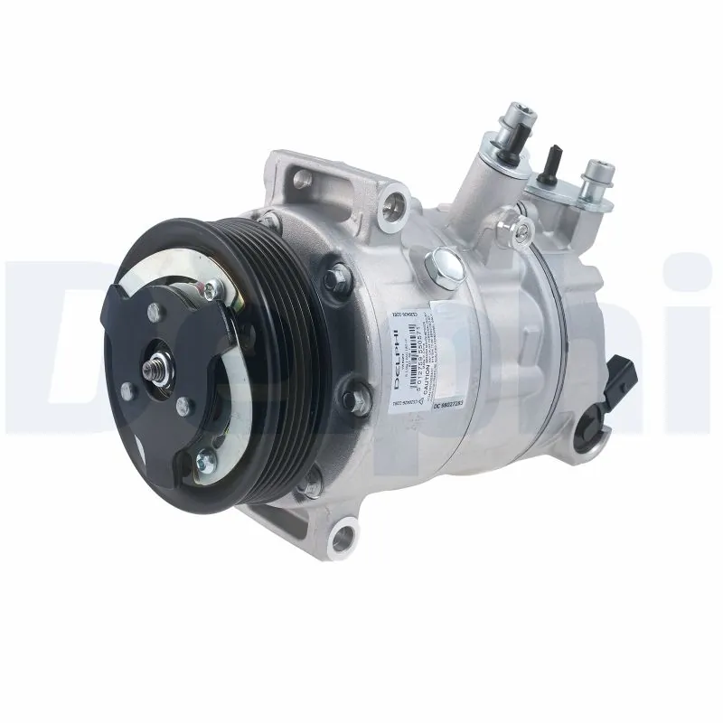CS2042612B1 Delphi
