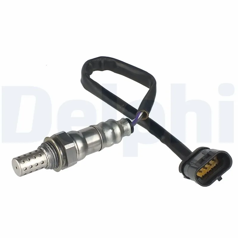 ES2031012B1 Delphi