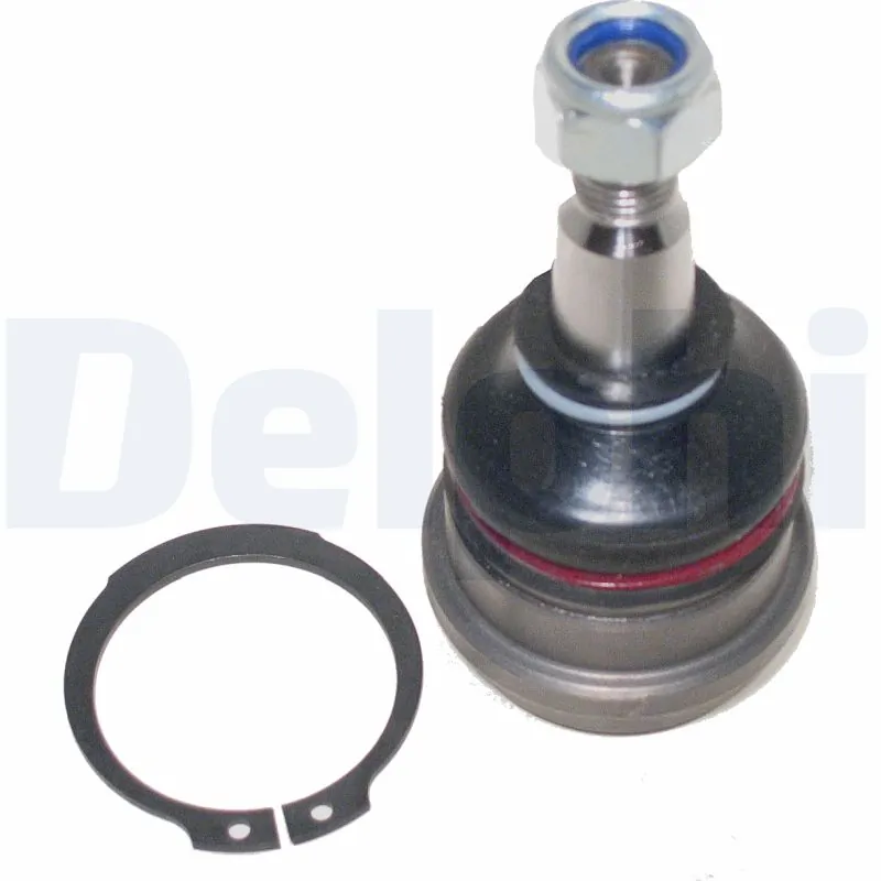 TC1243 Delphi