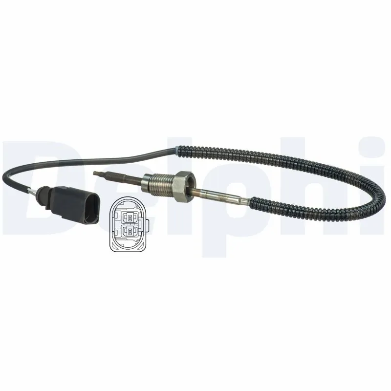 TS30105 Delphi