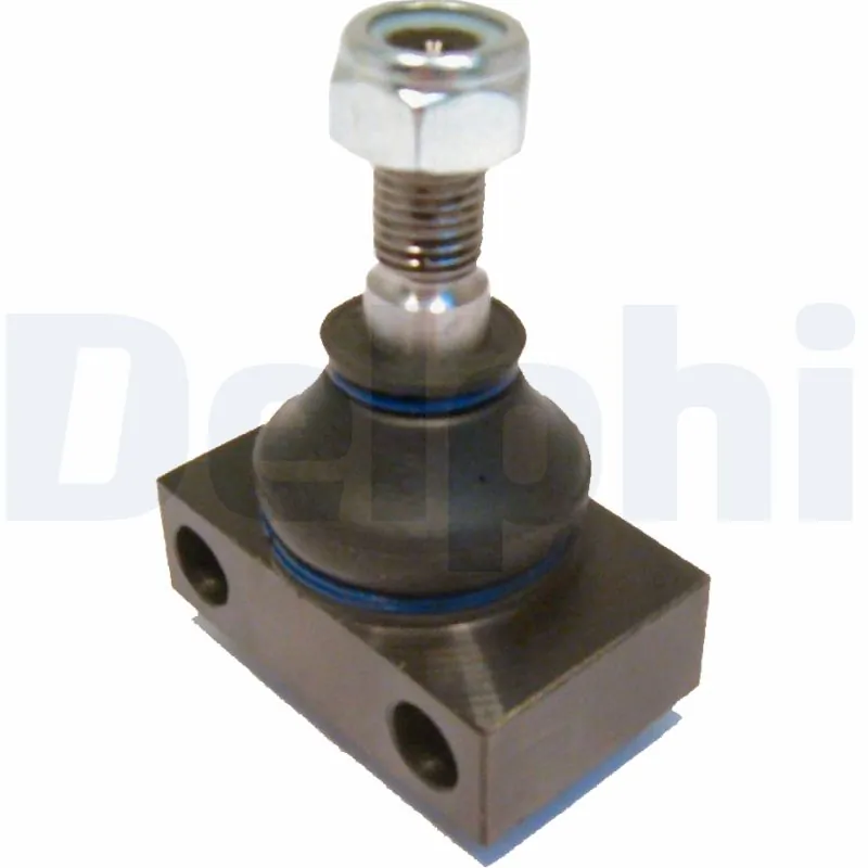 TC1289 Delphi