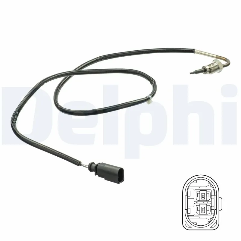 TS30143 Delphi