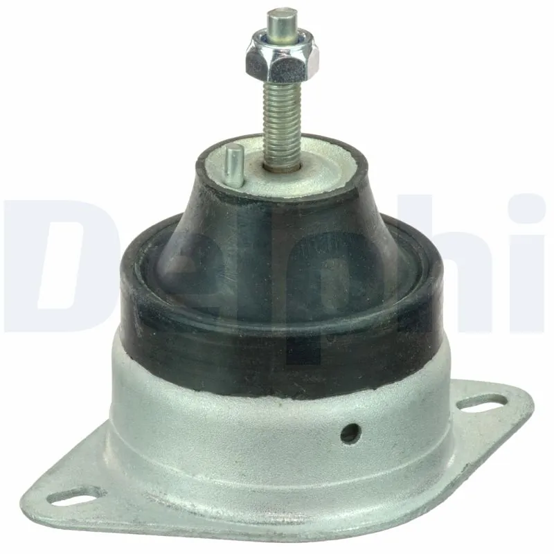 TEM078 Delphi