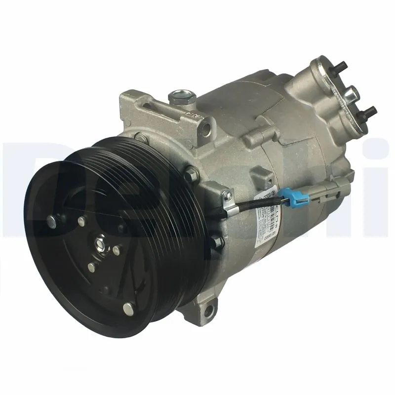 CS2030312B1 Delphi