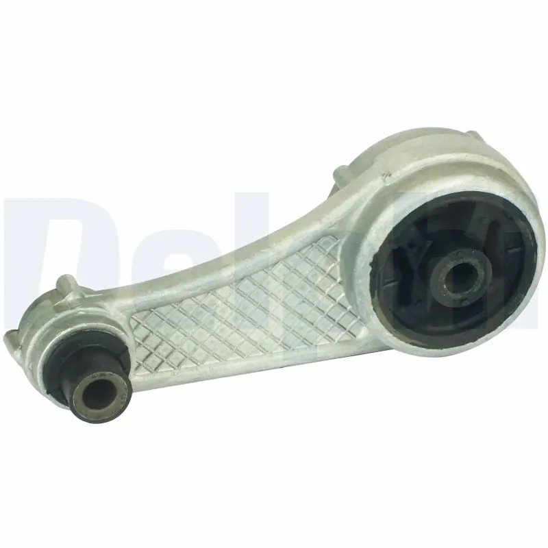 TEM013 Delphi