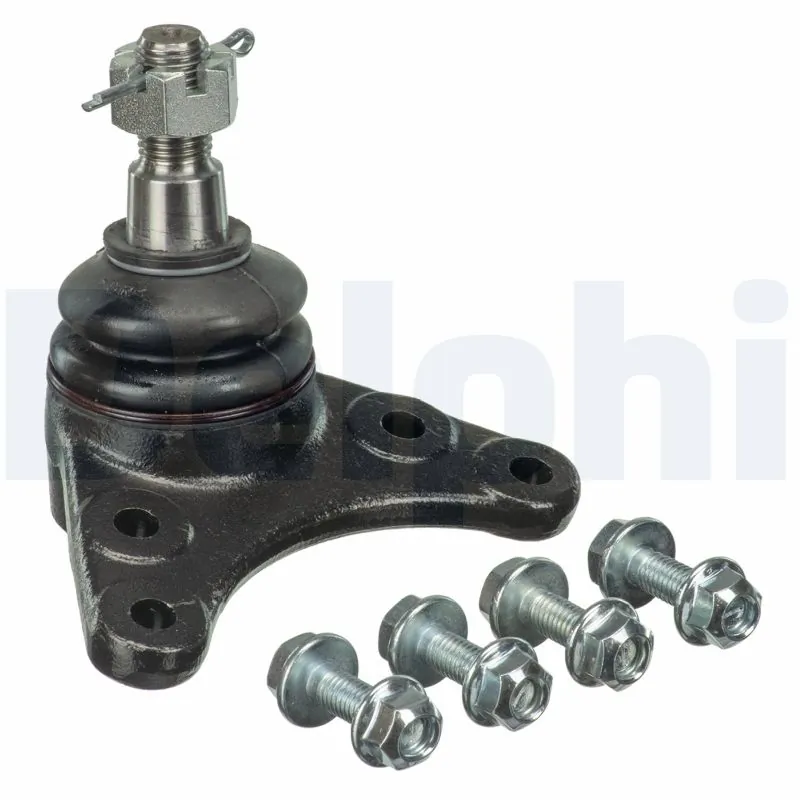TC3669 Delphi