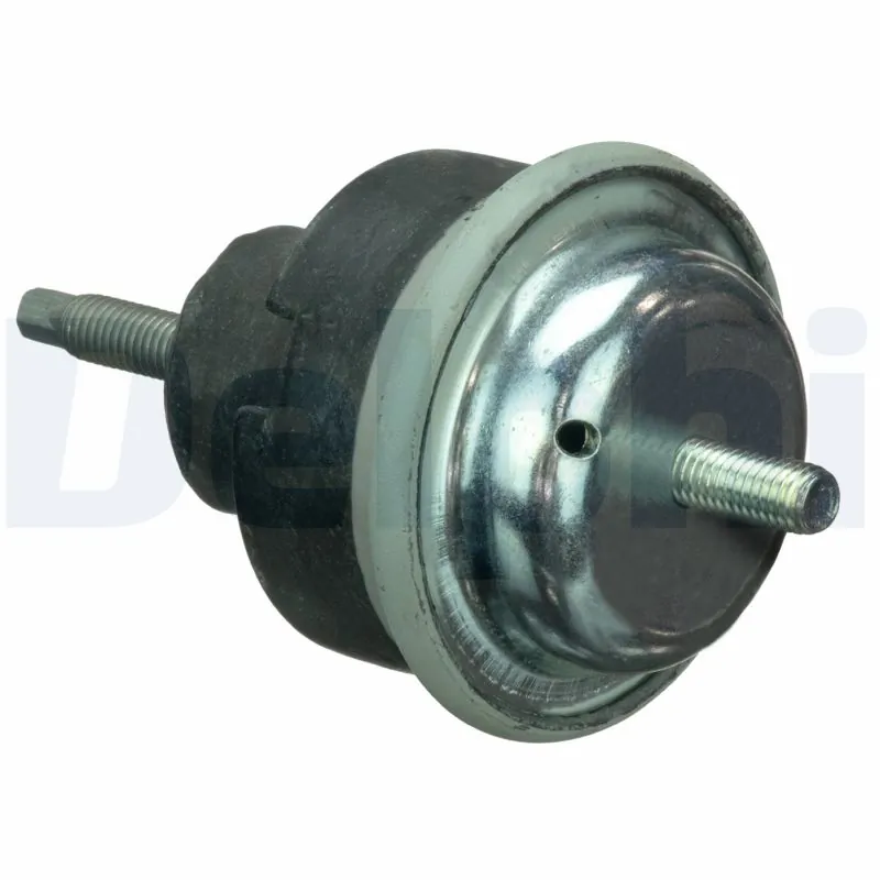 TEM115 Delphi