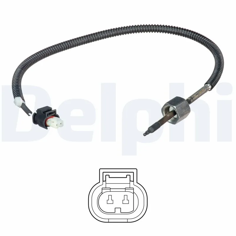 TS30222 Delphi
