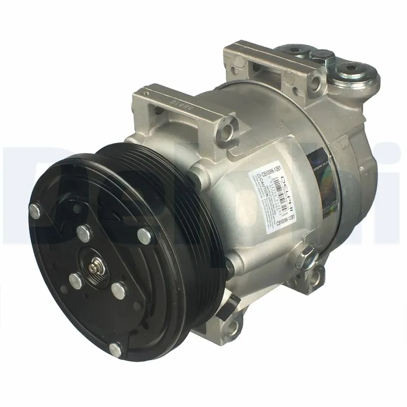CS10096 Delphi