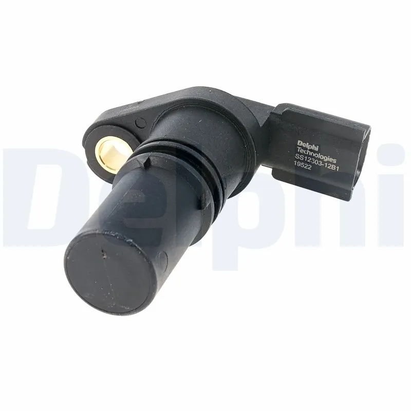 SS2130312B1 Delphi