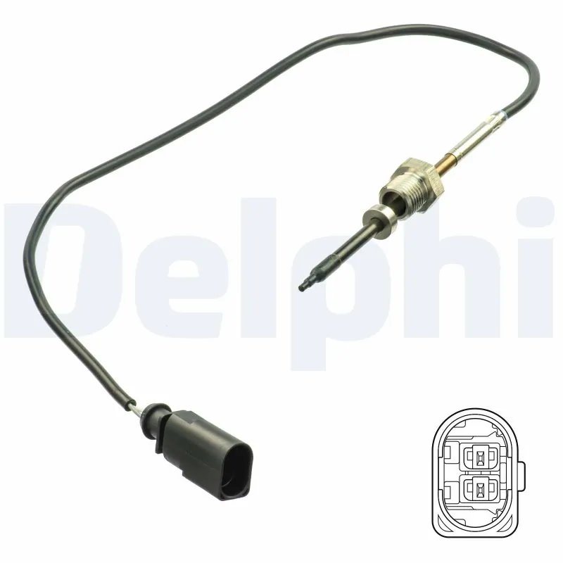 TS30165 Delphi