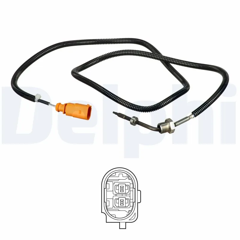 TS30264 Delphi