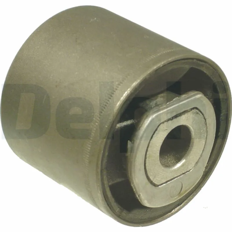 TD310W Delphi