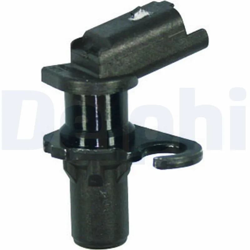 SS1074412B1 Delphi