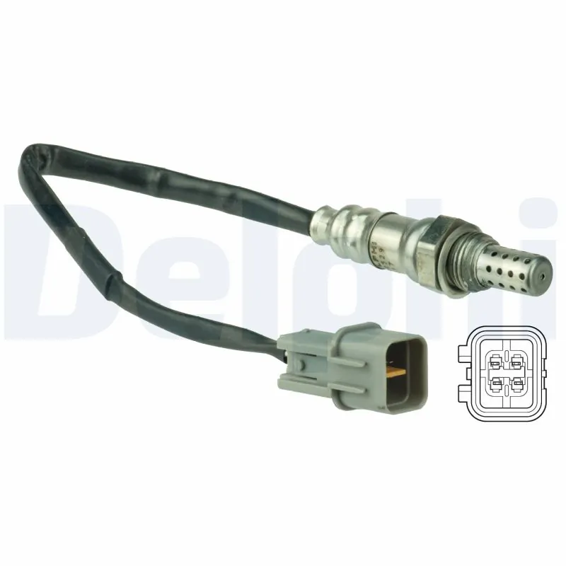 ES2052912B1 Delphi