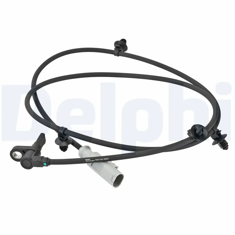 SS2134812B1 Delphi