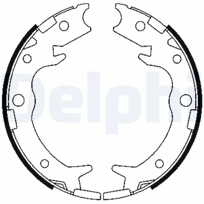 LS1900 Delphi