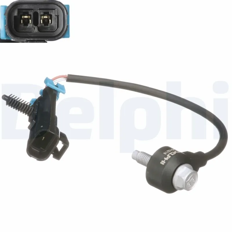 AS10216 Delphi