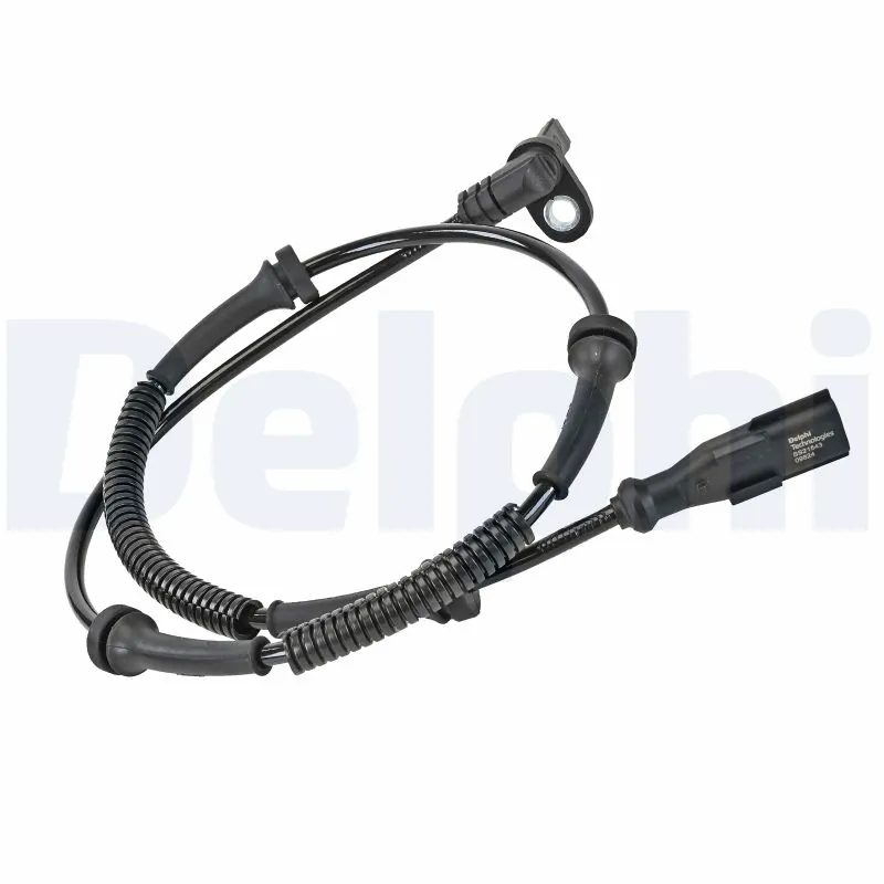 SS2154312B1 Delphi