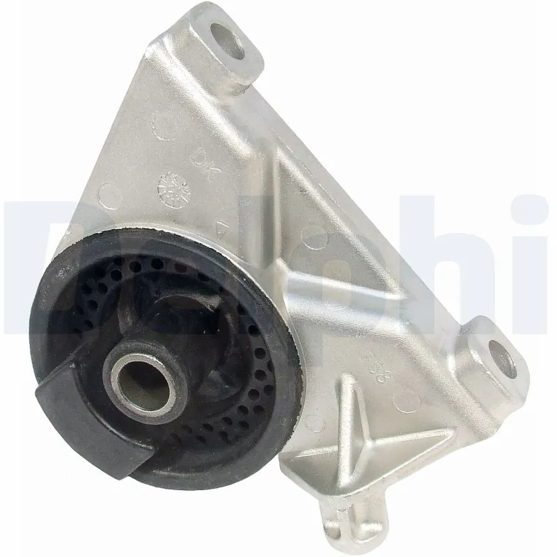 TEM010 Delphi