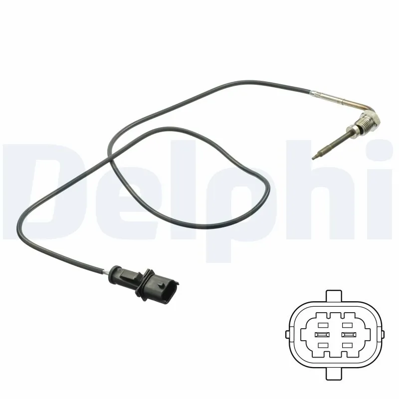 TS30112 Delphi