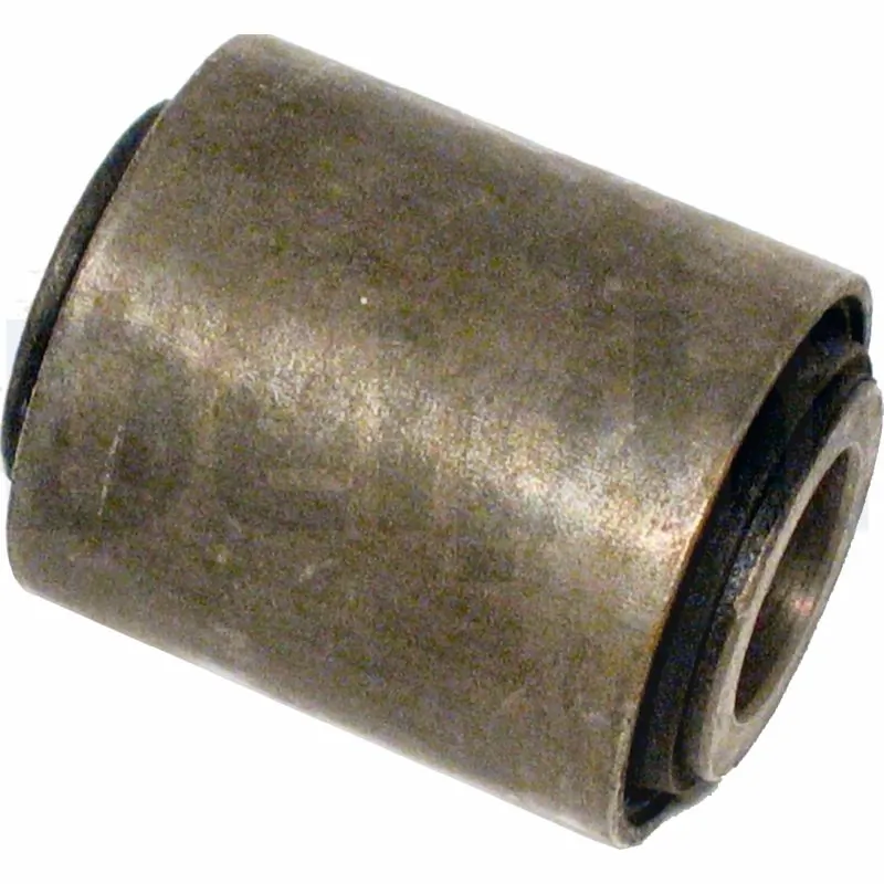 TD495W Delphi