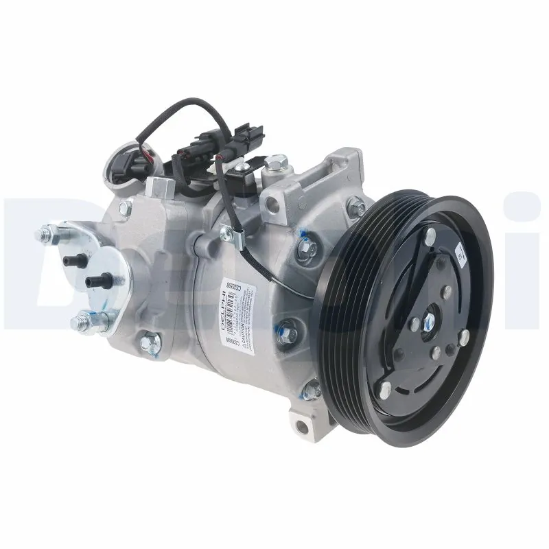 CS20598 Delphi