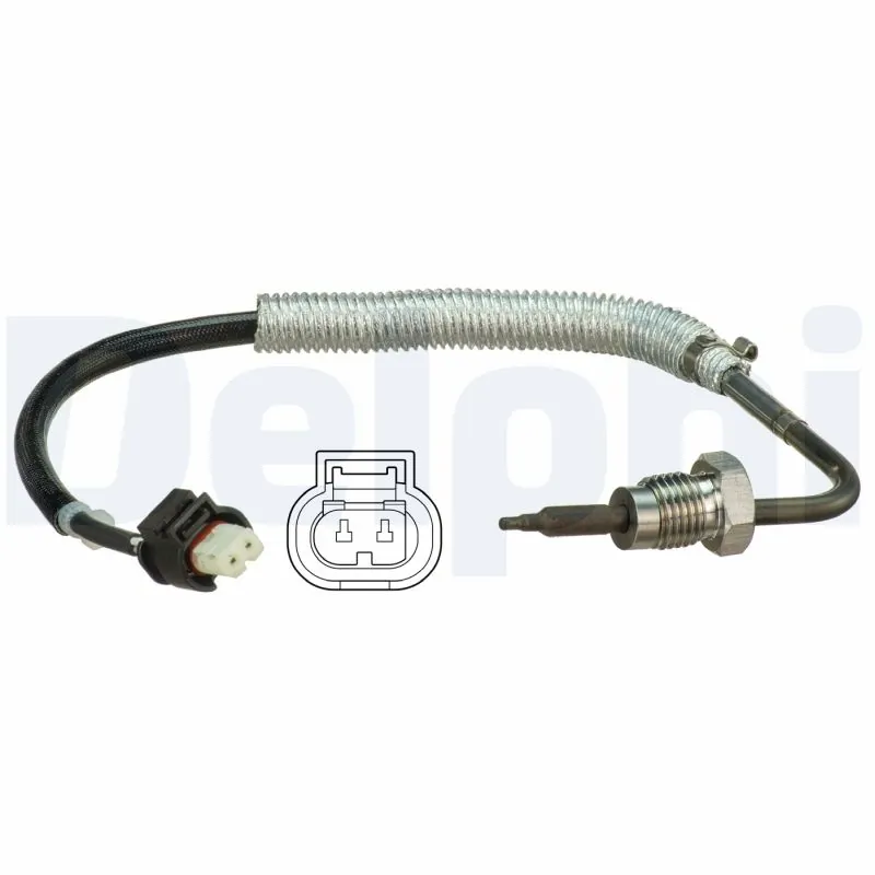 TS30102 Delphi