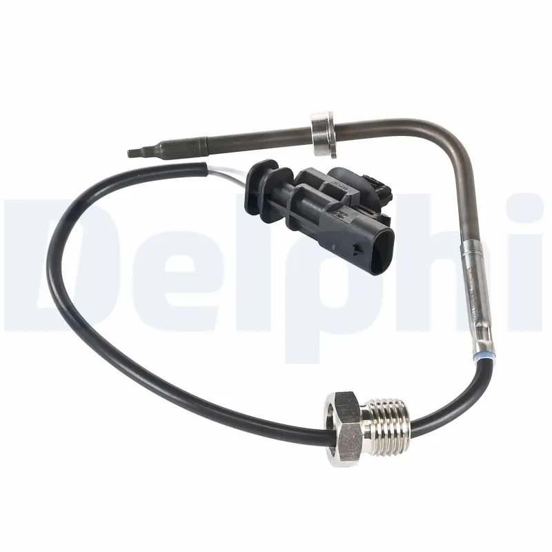 TS3038012B1 Delphi
