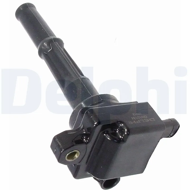 GN1029912B1 Delphi
