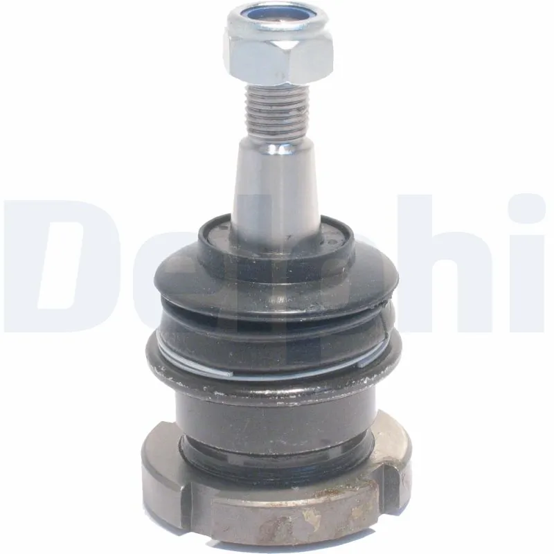 TC1369 Delphi